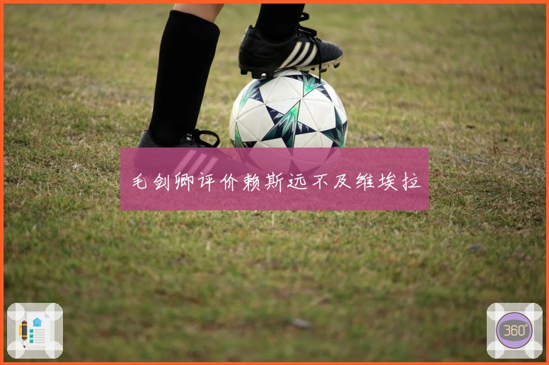 毛剑卿评价赖斯远不及维埃拉