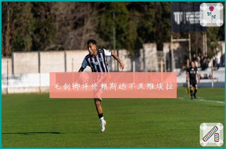 毛剑卿评价赖斯远不及维埃拉