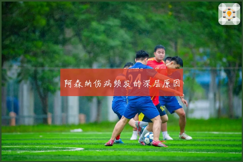 阿森纳伤病频发的深层原因